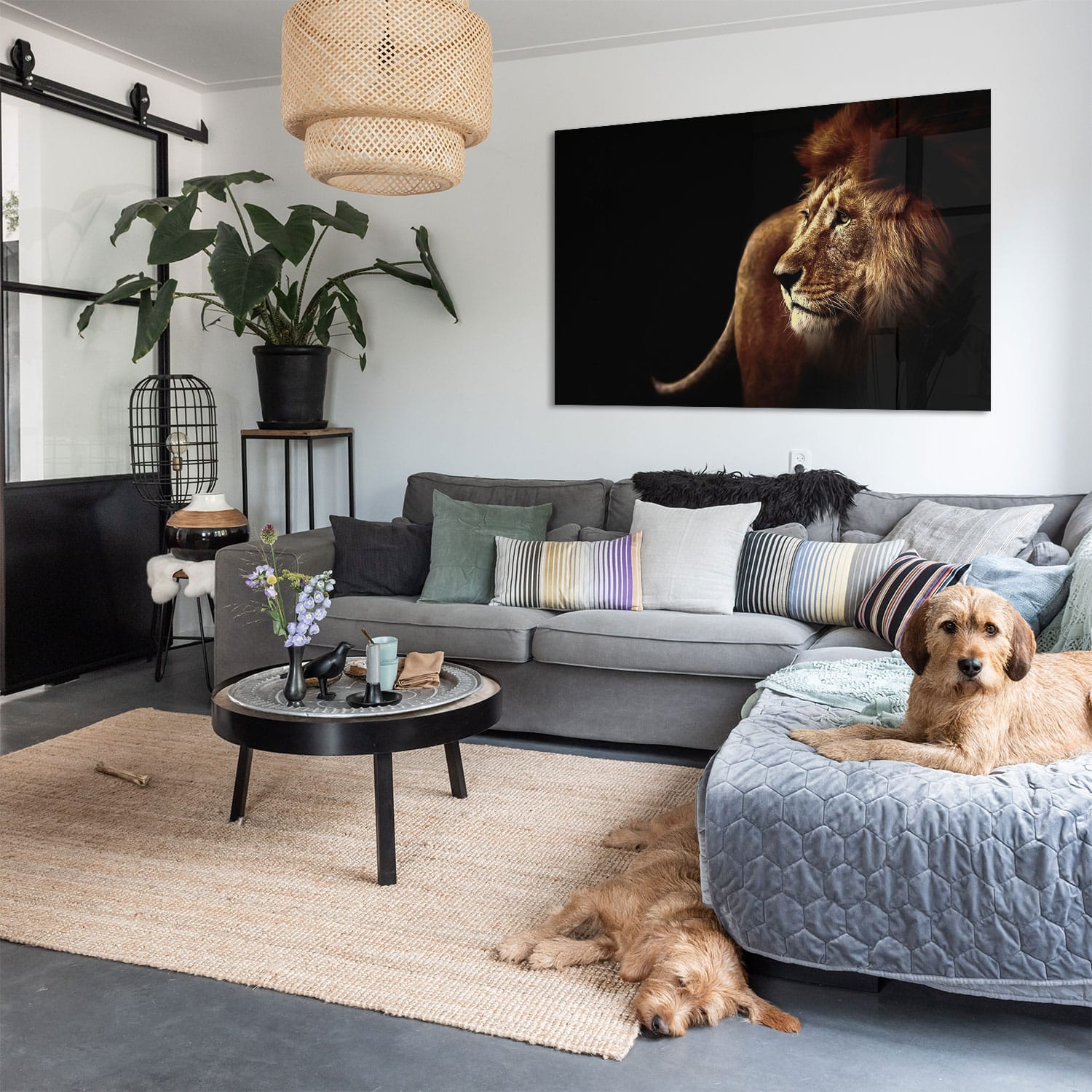 King lion - Afbeelding 2