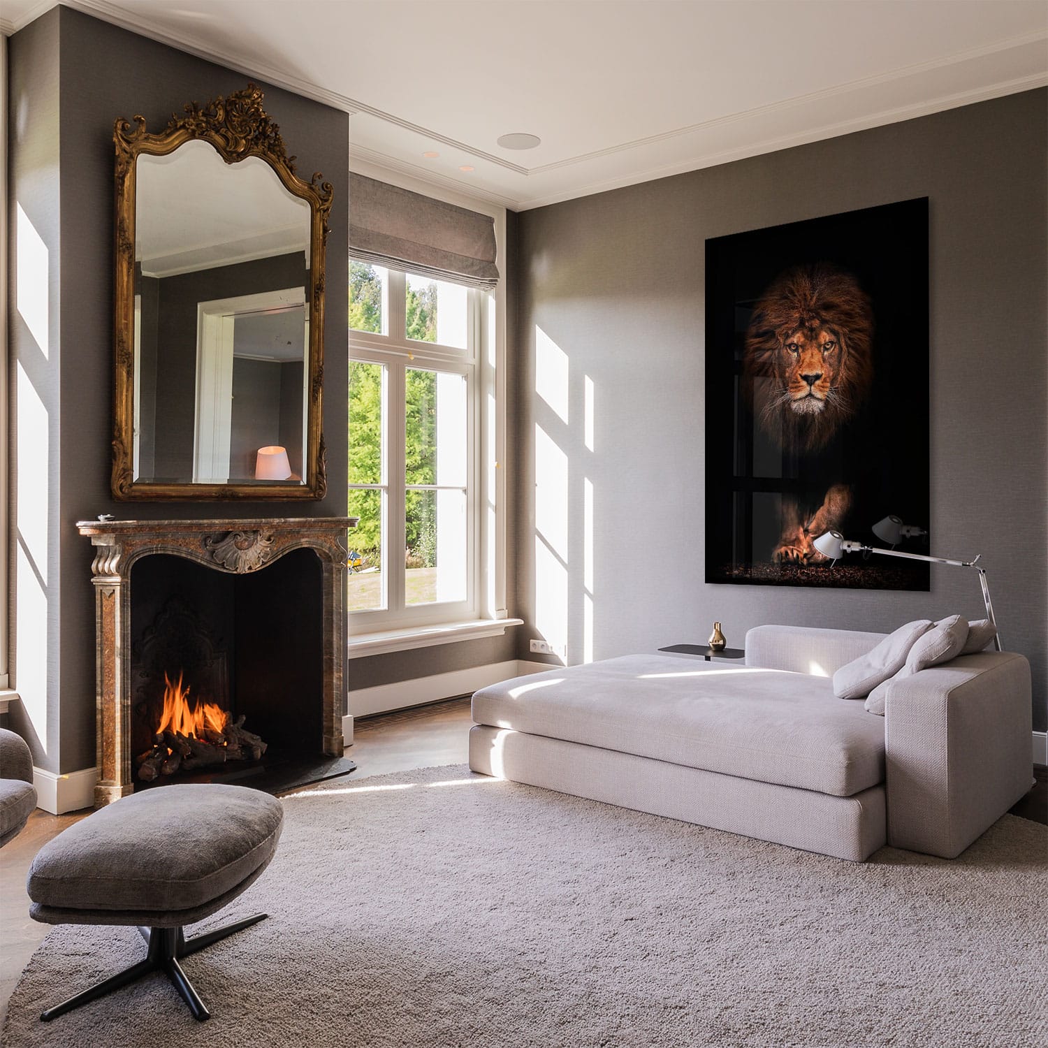 Lion spotlight - Afbeelding 3