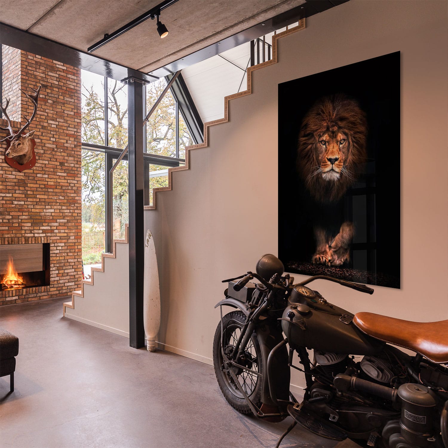 Lion spotlight - Afbeelding 5