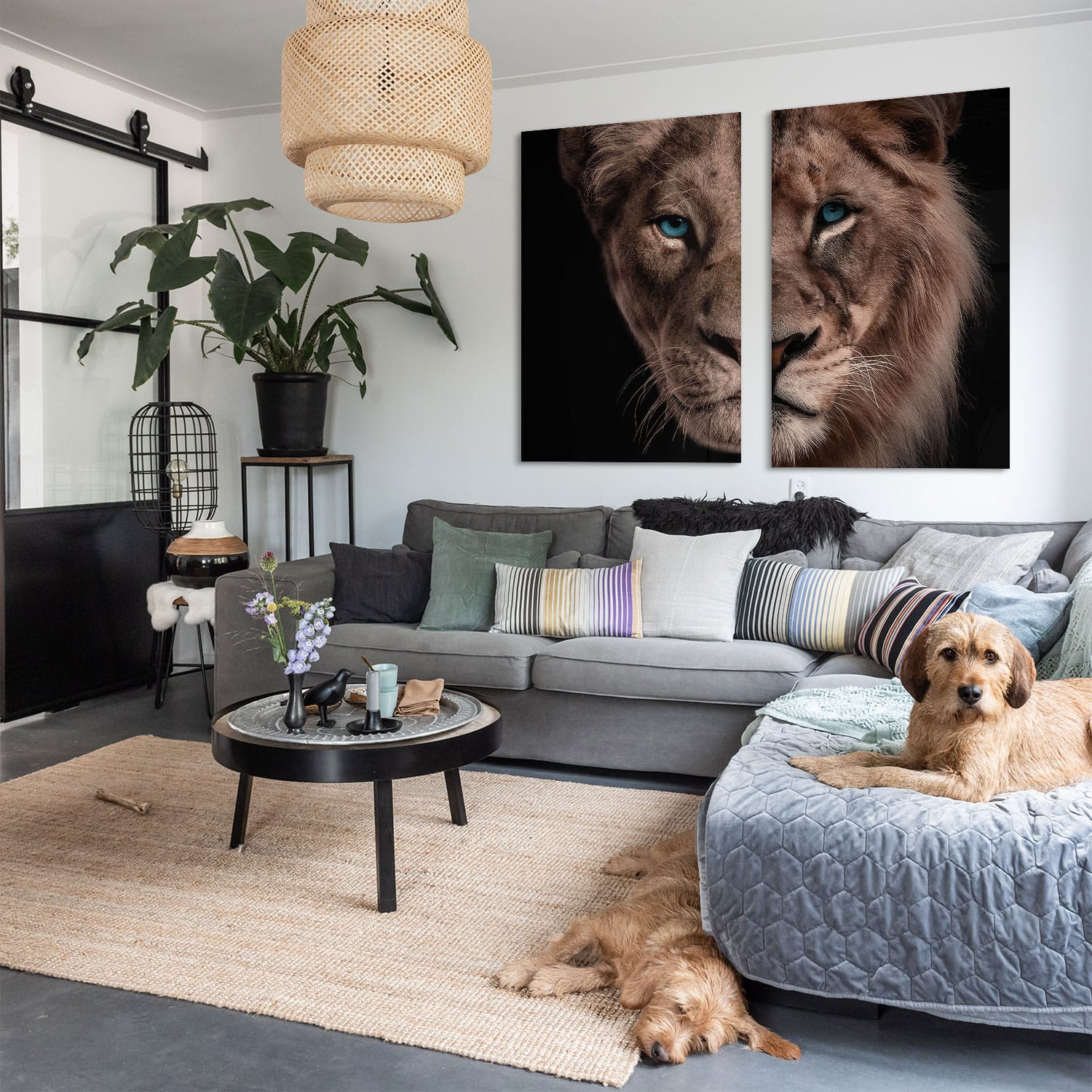 Half Lion + Lioness Head (2x) - Afbeelding 8