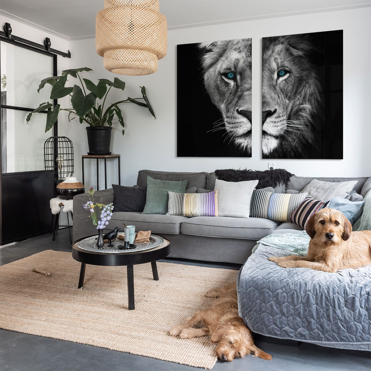 Half Lion + Lioness Head - Grey (2x) - Afbeelding 5