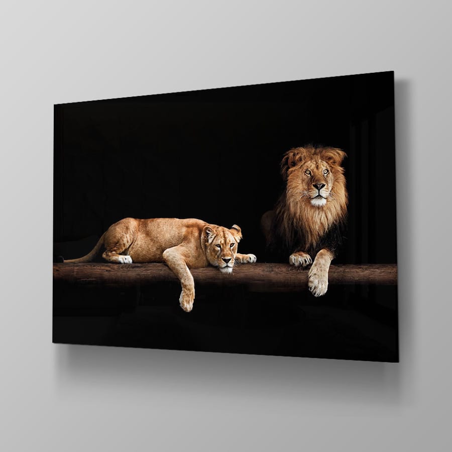 Lion & Lioness - Afbeelding 4