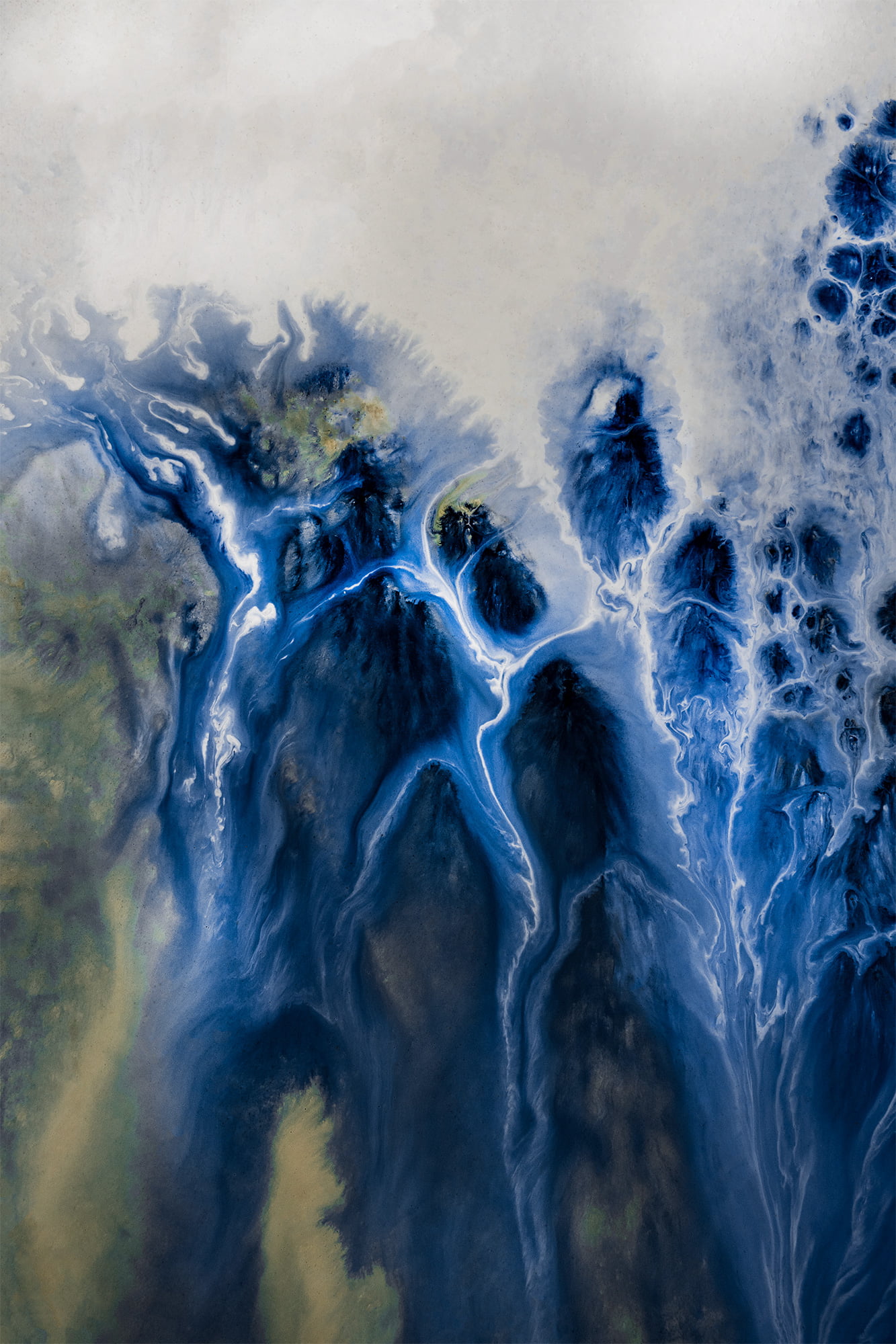 Mysteries of the Marsh