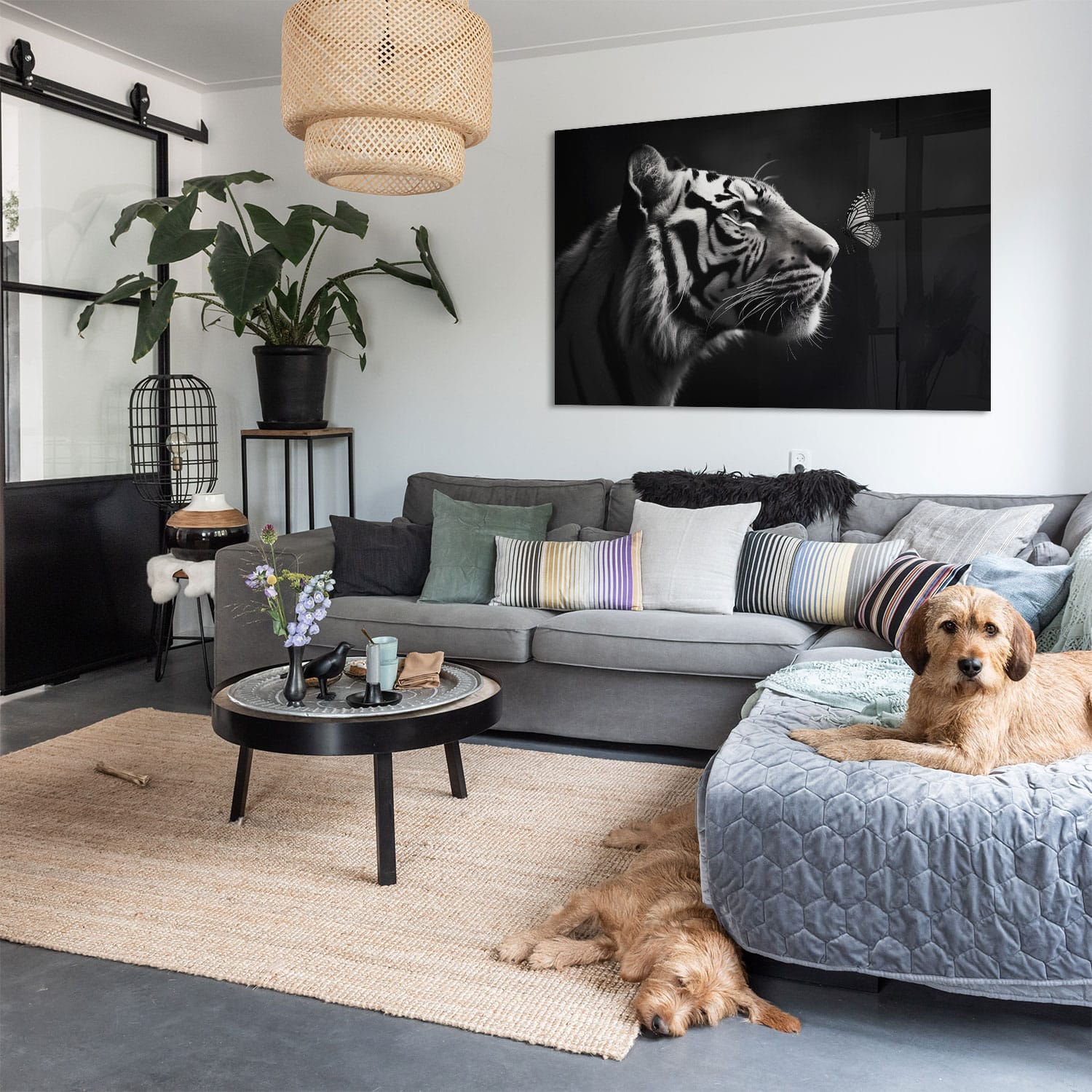 Whisker Whispers - Afbeelding 9