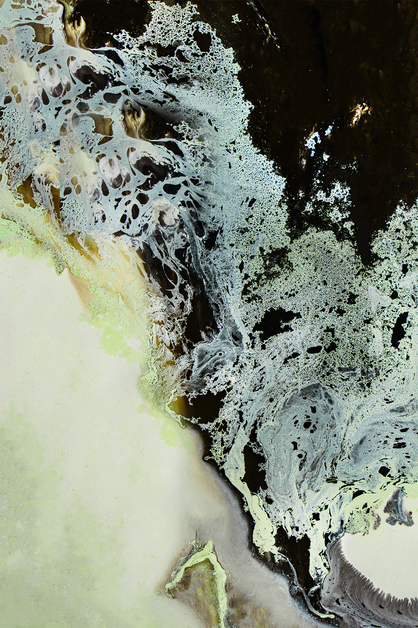 Whispers in the Wind