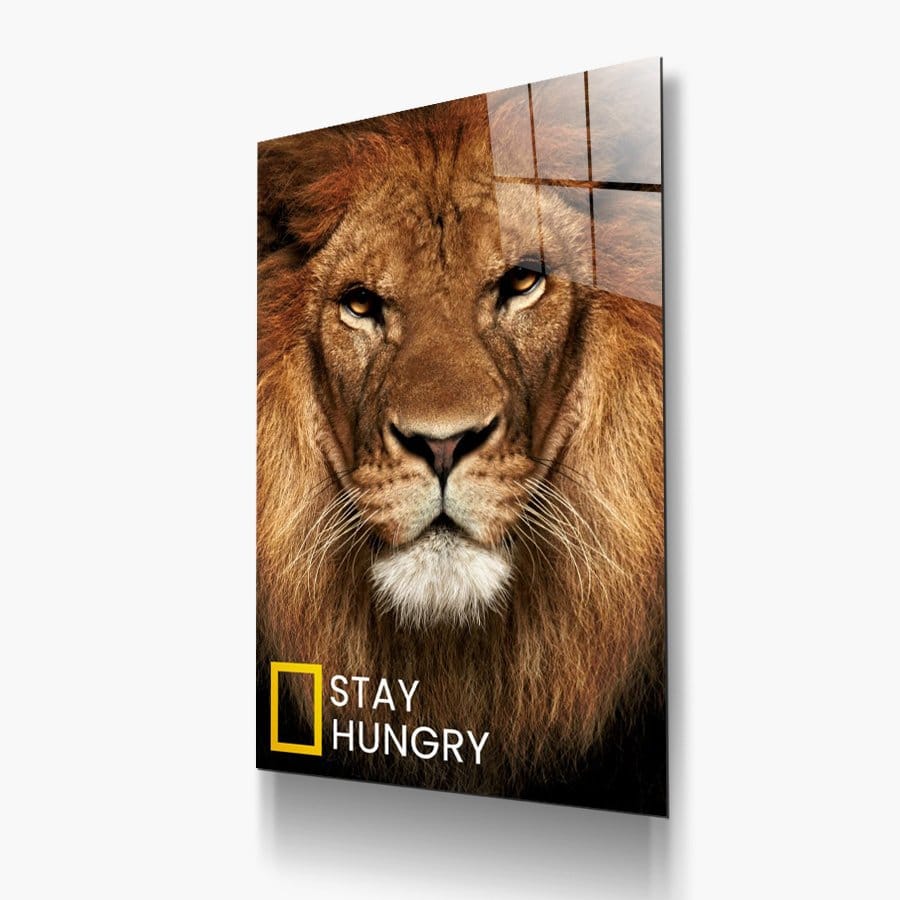 Lion stay hungry - Afbeelding 8