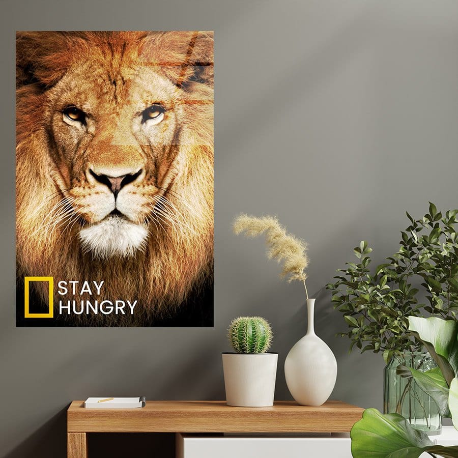 Lion stay hungry - Afbeelding 9