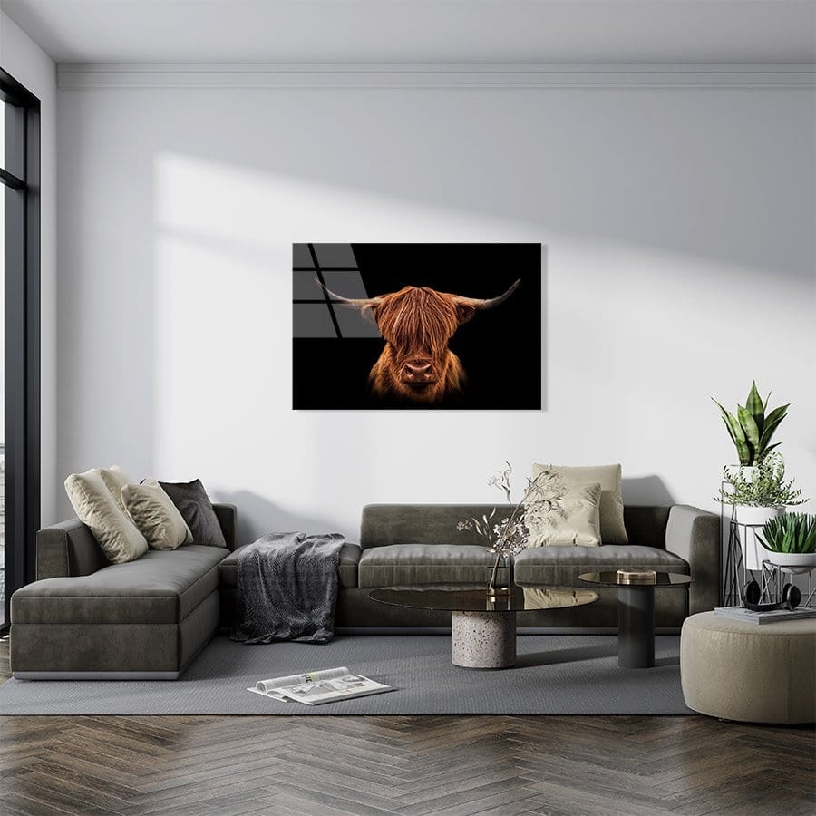 Scottish Highlander - Afbeelding 8