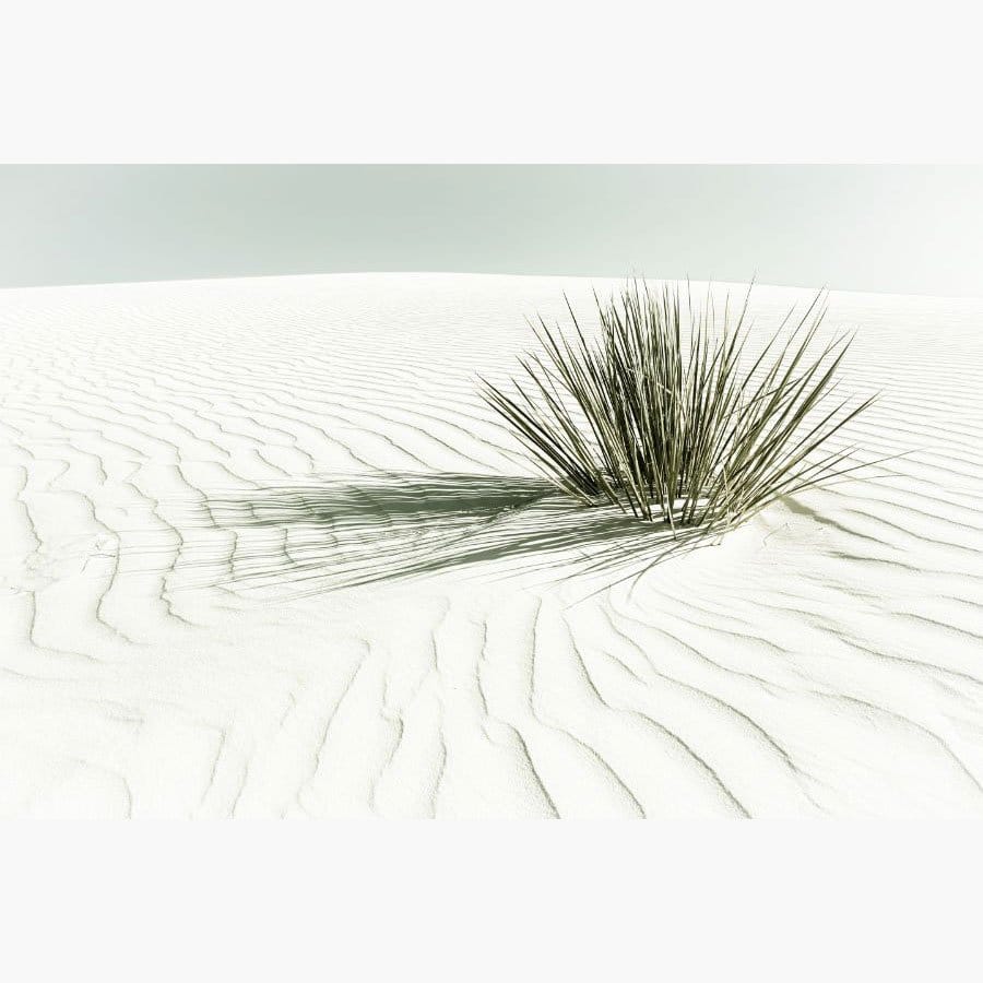 White Sands