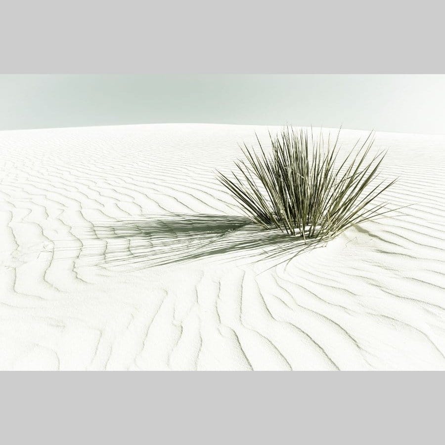 White Sands - Afbeelding 5