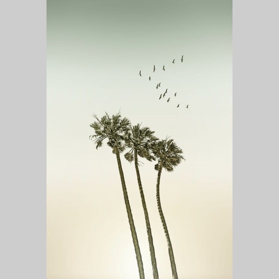 Minimalist Palm Trees & Sunset - Afbeelding 2