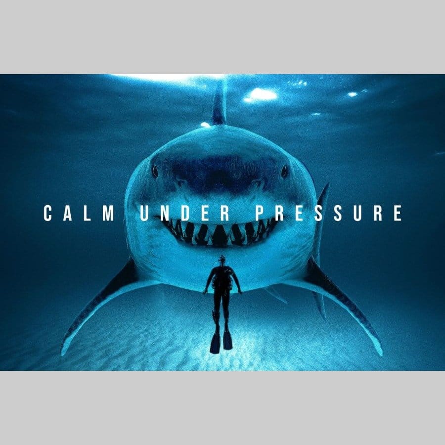 Calm under pressure - Afbeelding 10