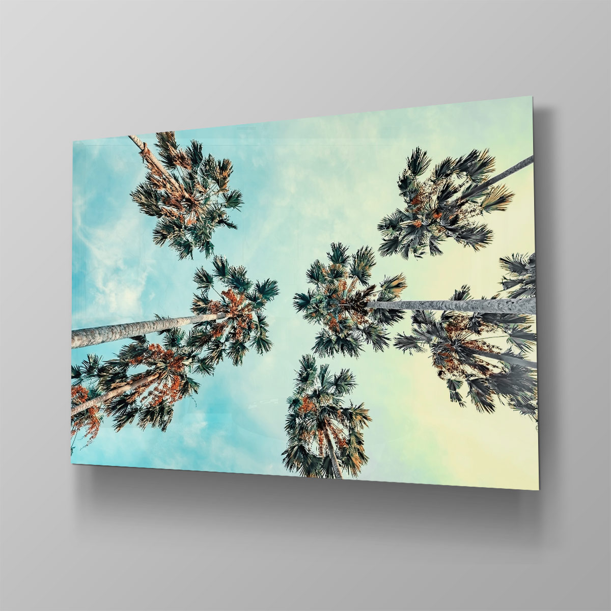 California - Afbeelding 4