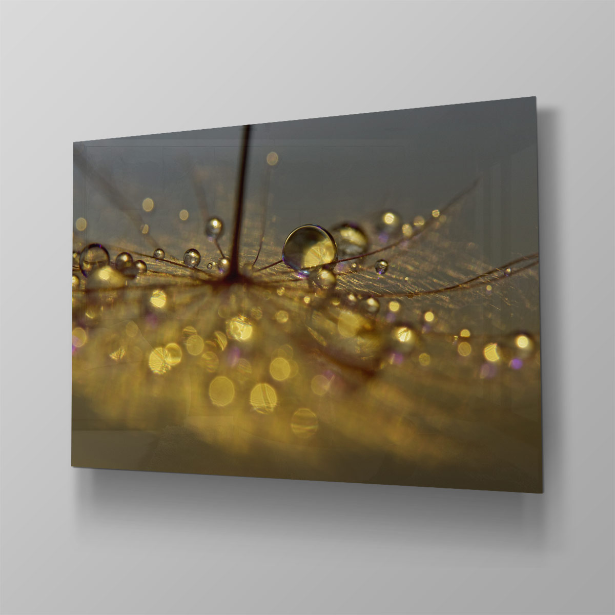 Golden purple - Afbeelding 4