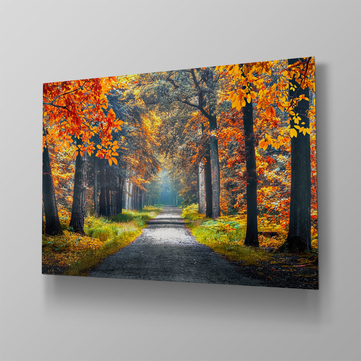 Dutch Forest - Afbeelding 4