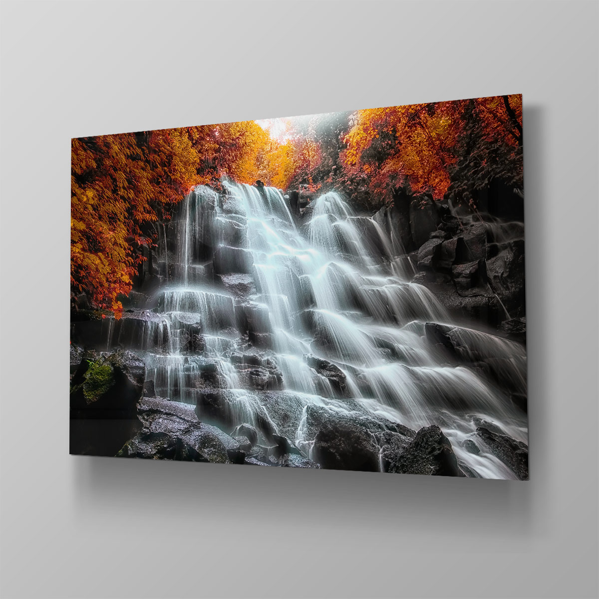 Into The Woods - Afbeelding 4