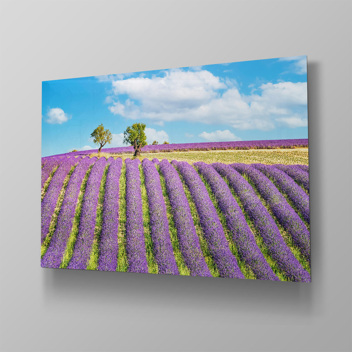 Provence - Afbeelding 4