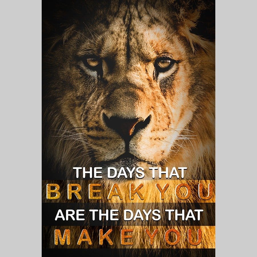 The days that break you - Afbeelding 13