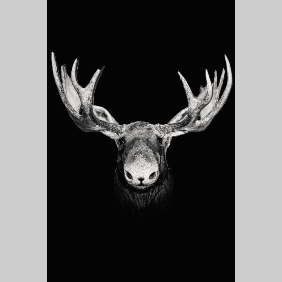 Moose front - Afbeelding 12