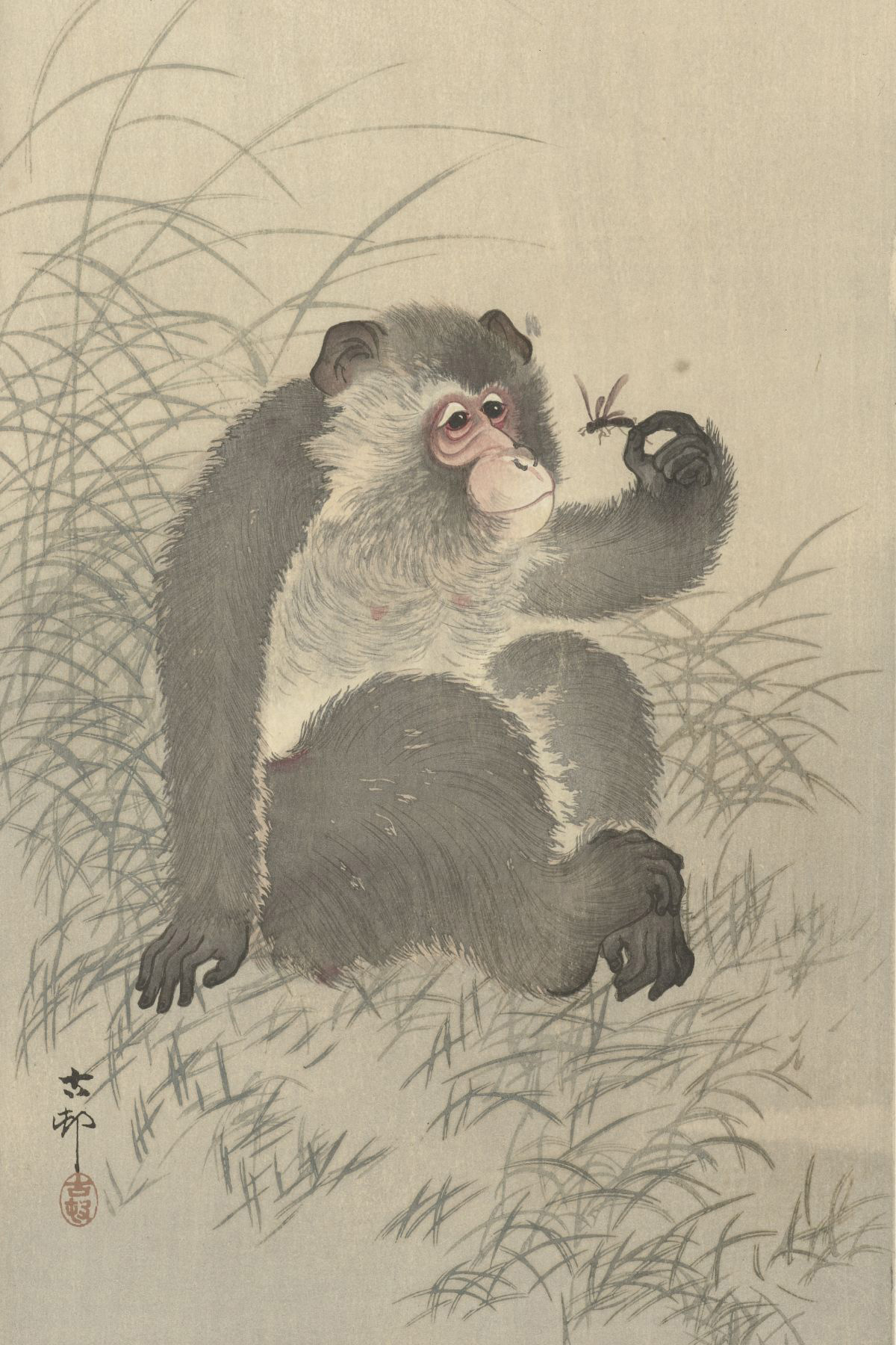 Aap met insect - Ohara Koson - Rijksmuseum