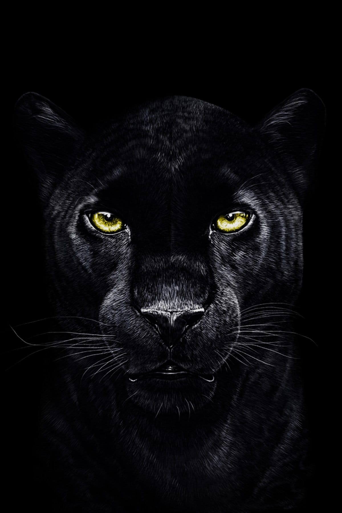 Black panther