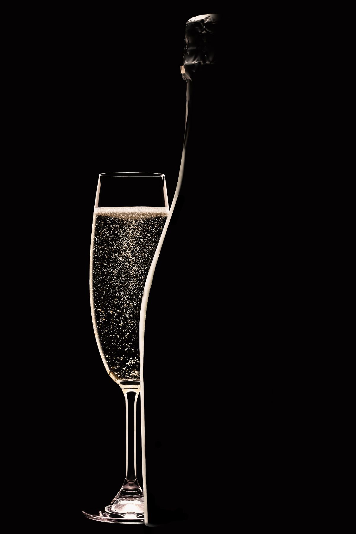 Champagne Silhouette