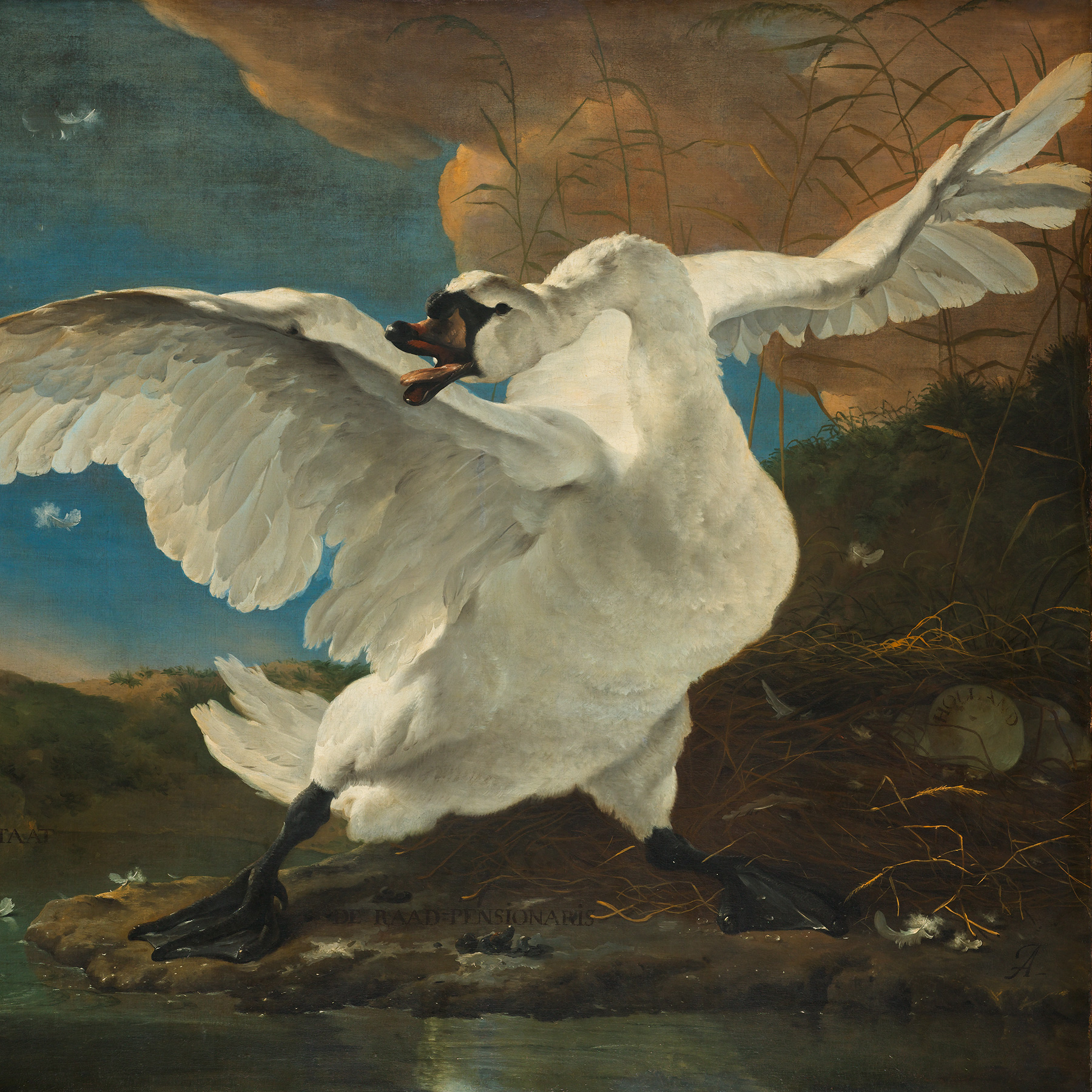 De bedreigde zwaan, Jan Asselijn - Rijksmuseum