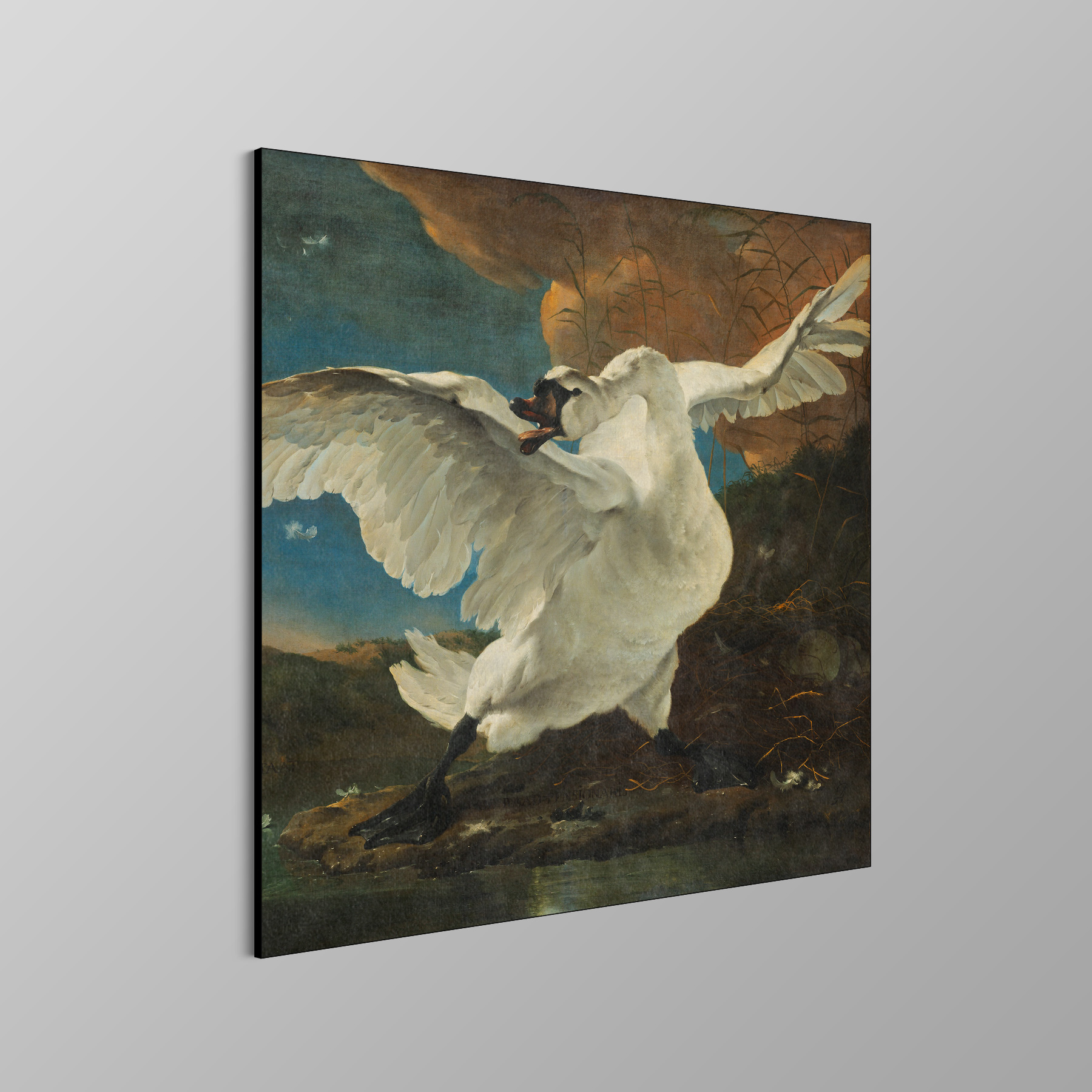 De bedreigde zwaan, Jan Asselijn - Rijksmuseum - Afbeelding 4