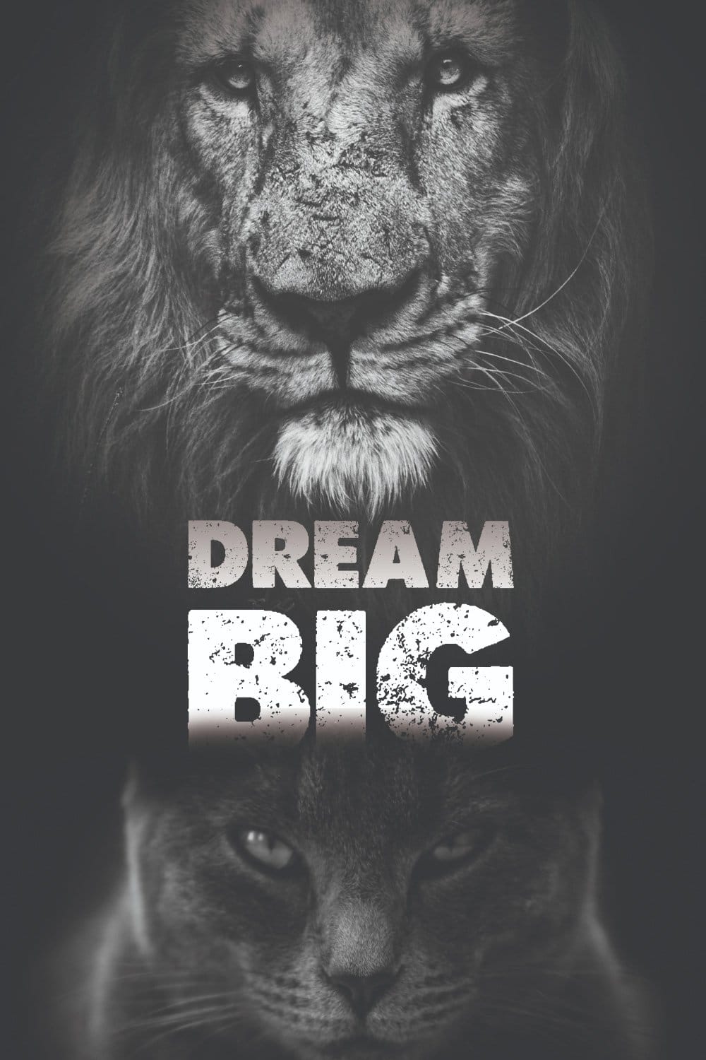 Dream big