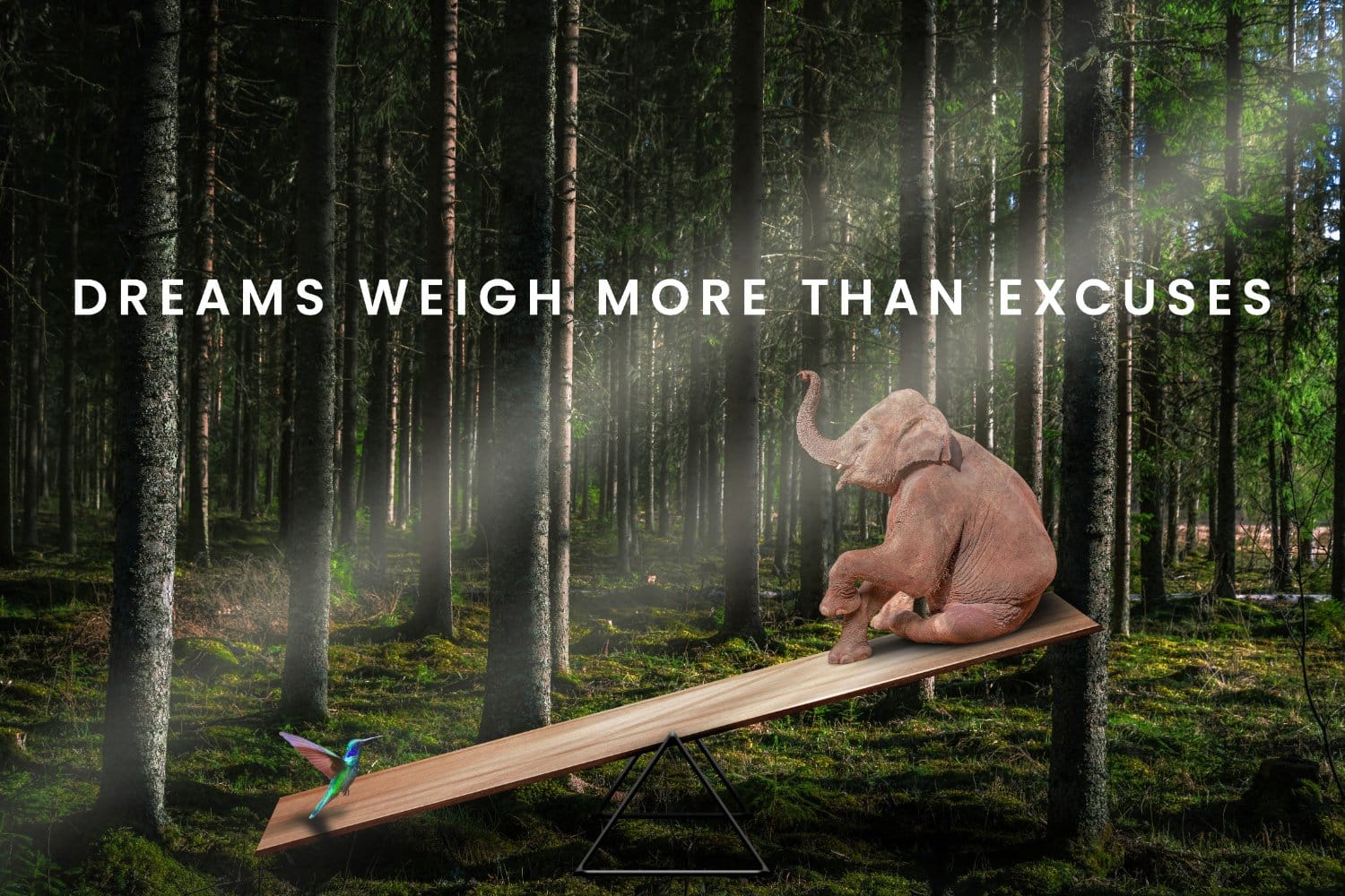 Dreams weigh more than excuses