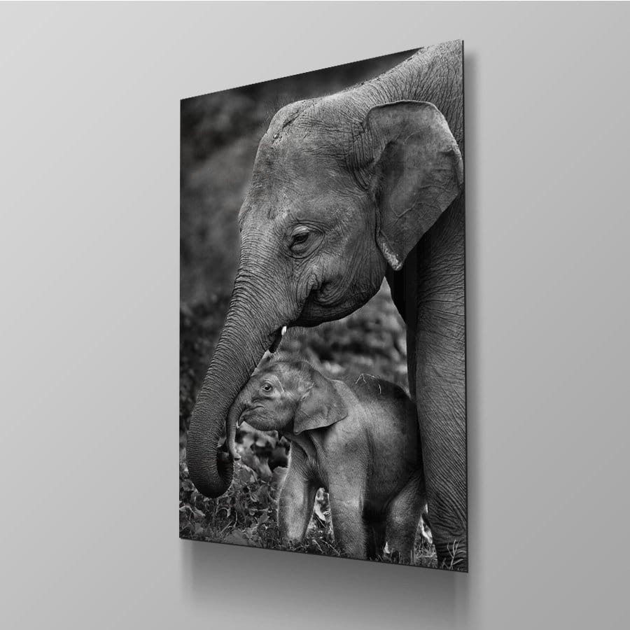 Elephant love - Afbeelding 4