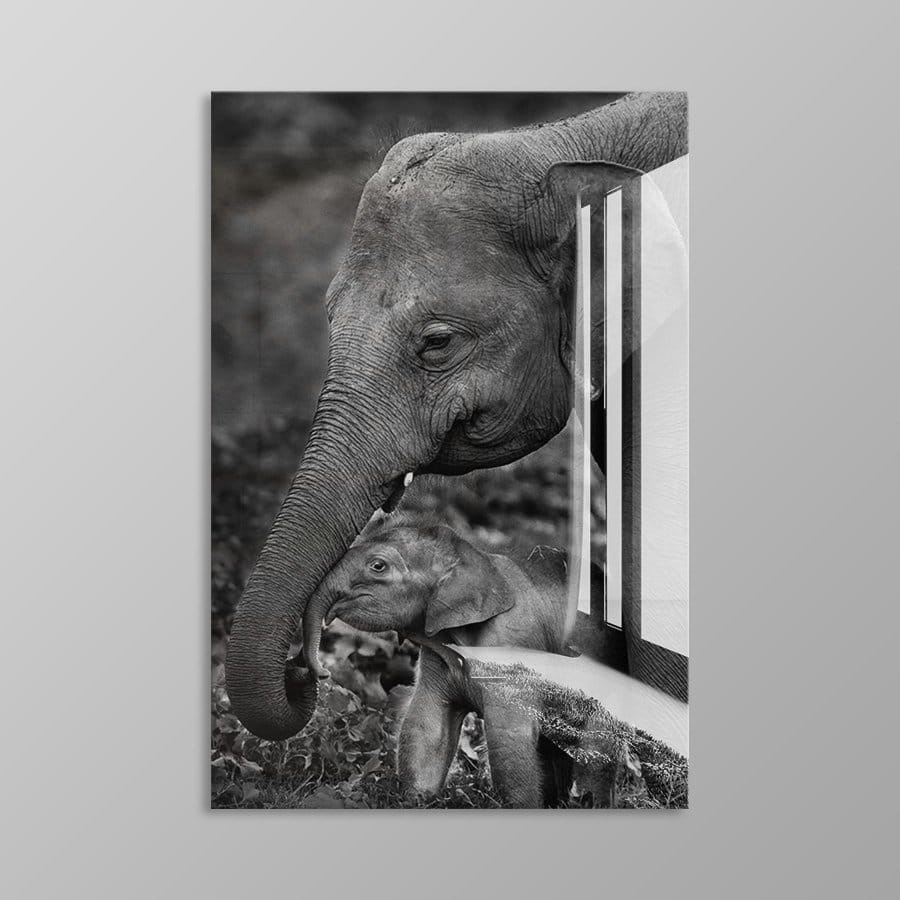 Elephant love - Afbeelding 10