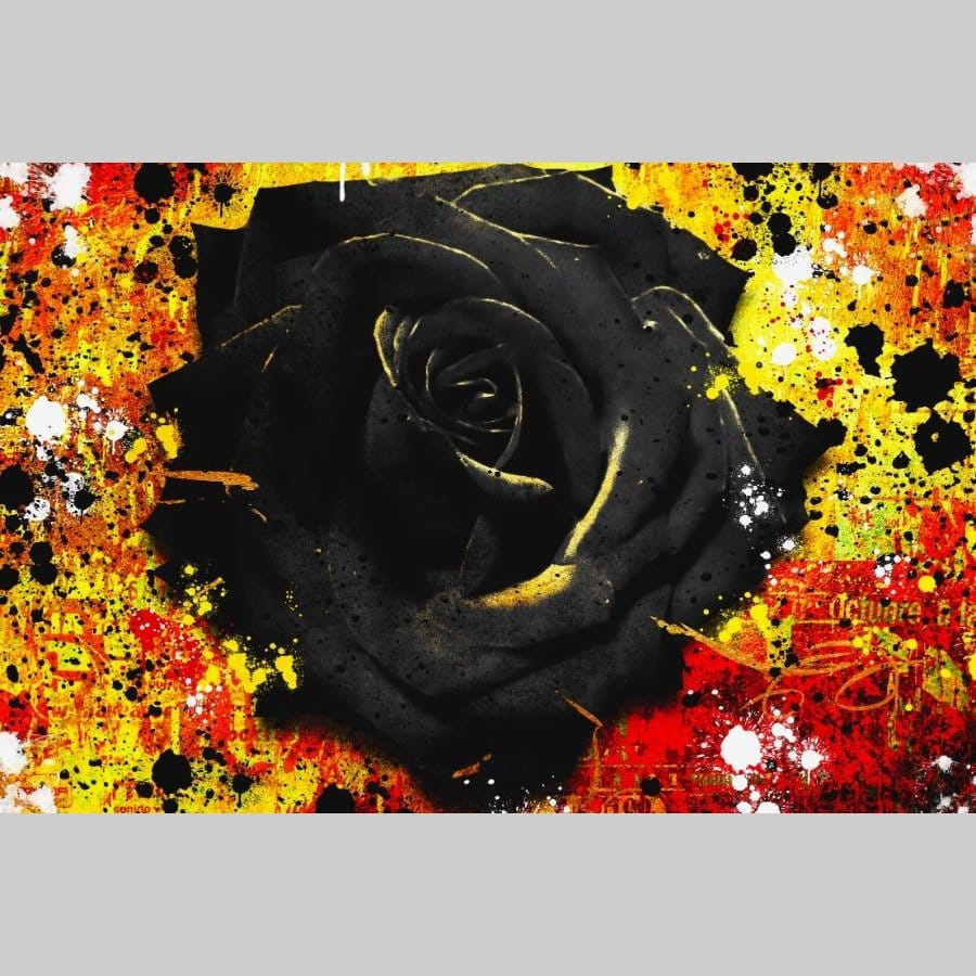 Black fire rose