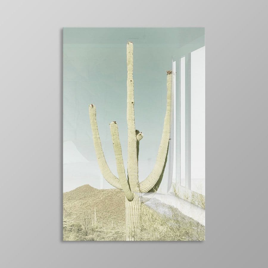 Giant Saguaro - Afbeelding 11