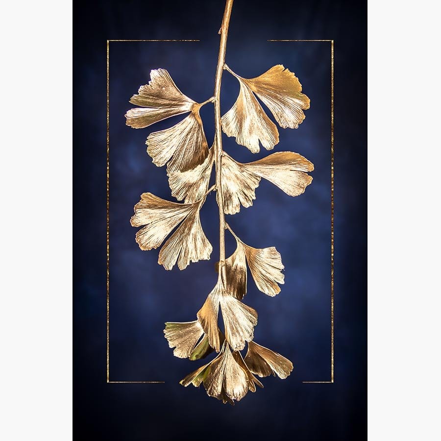 Golden Gingko