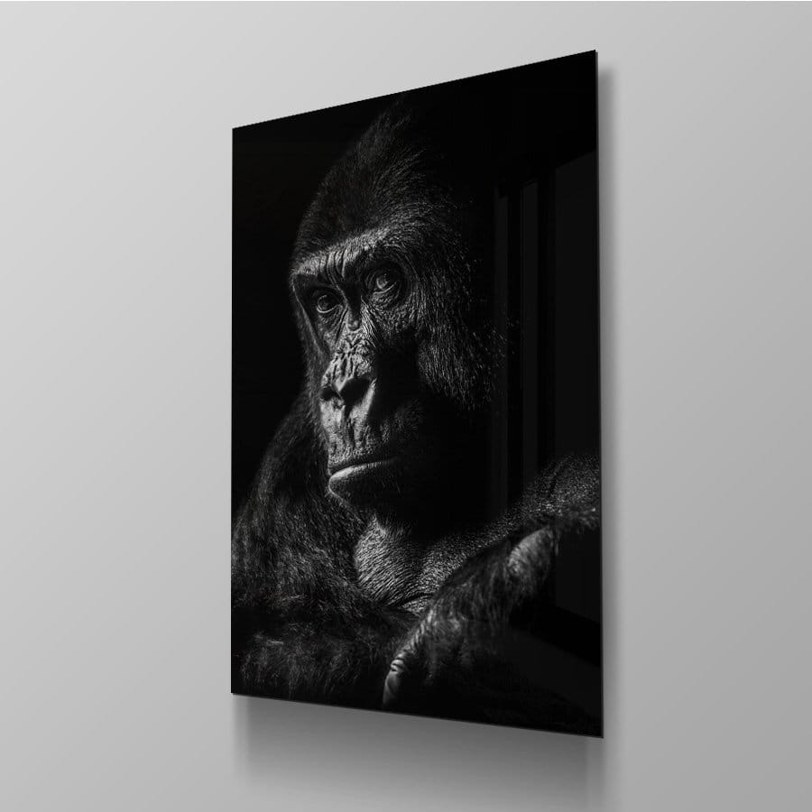 Gorilla - Afbeelding 4
