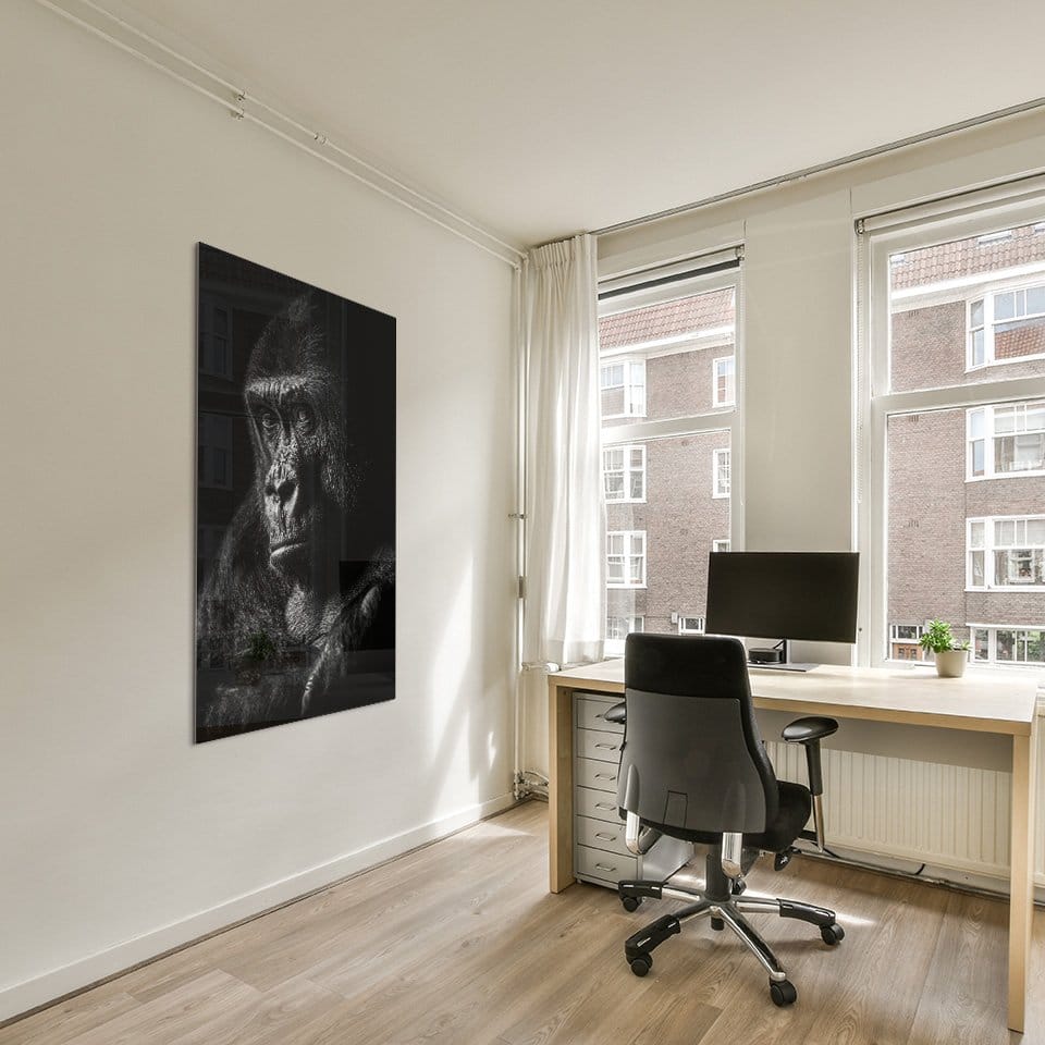 Gorilla - Afbeelding 5