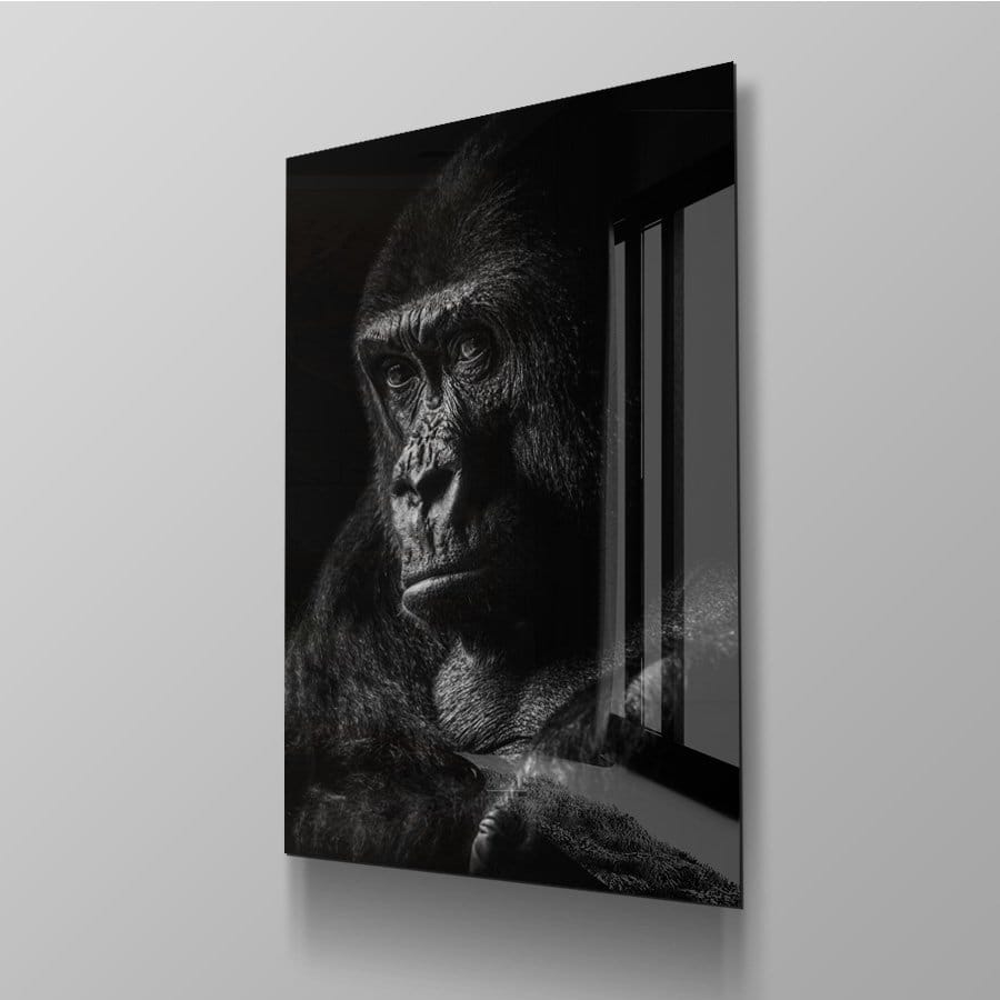 Gorilla - Afbeelding 15