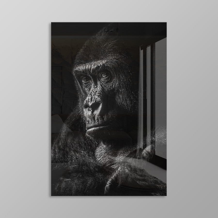 Gorilla - Afbeelding 16
