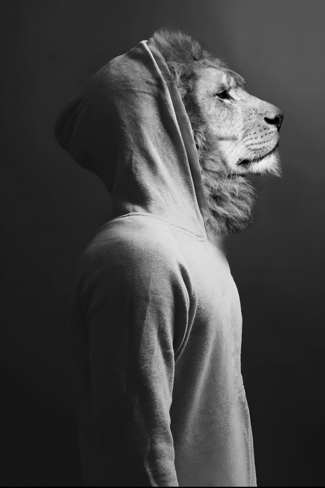 Hoodie Lion