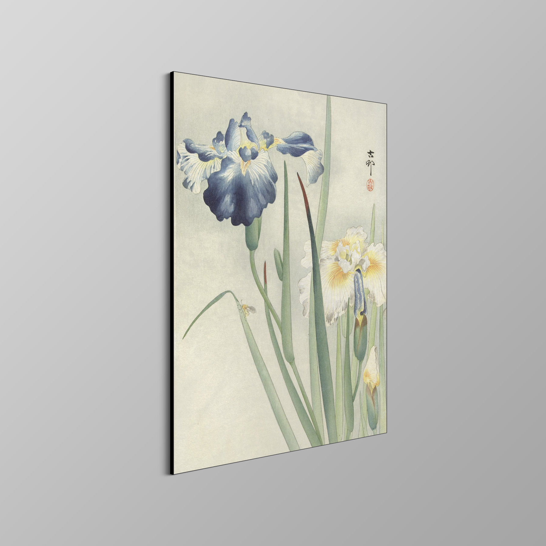 Irissen - Ohara Koson - Rijksmuseum - Afbeelding 4