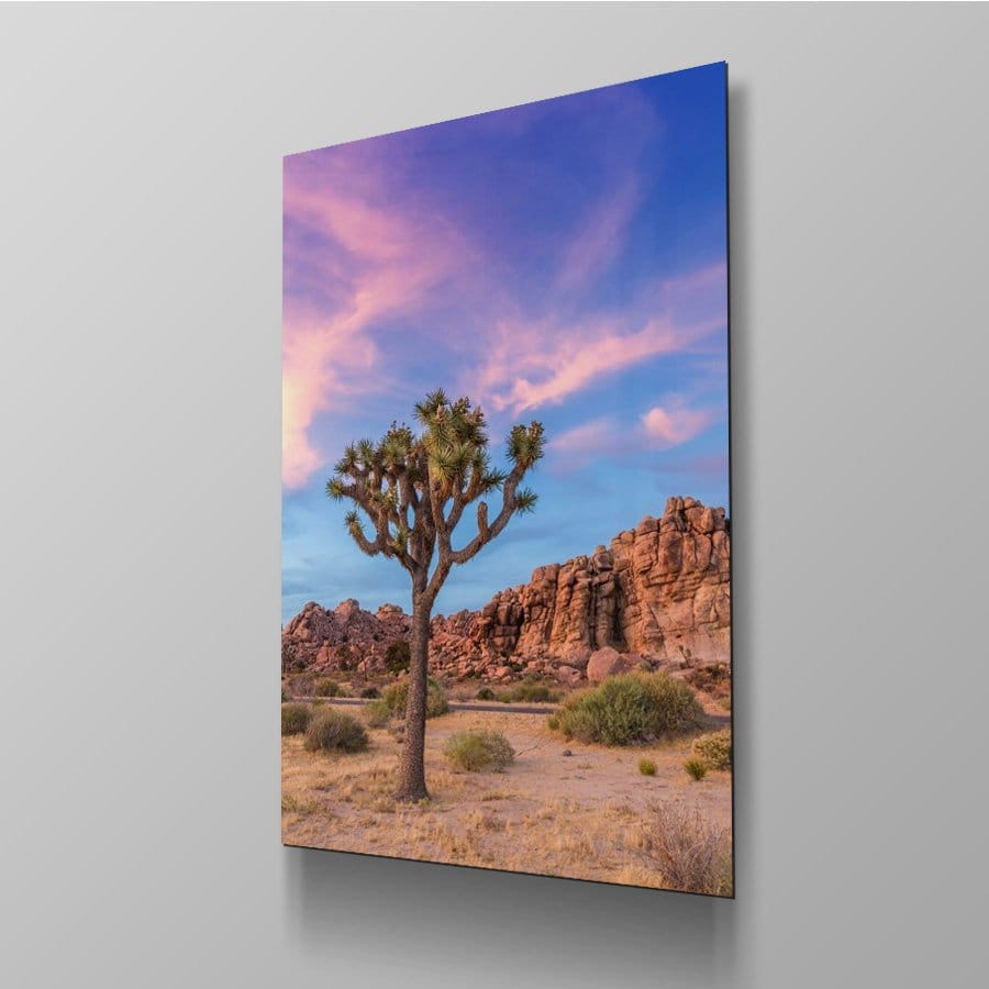 Joshua Tree Evenening - Afbeelding 4