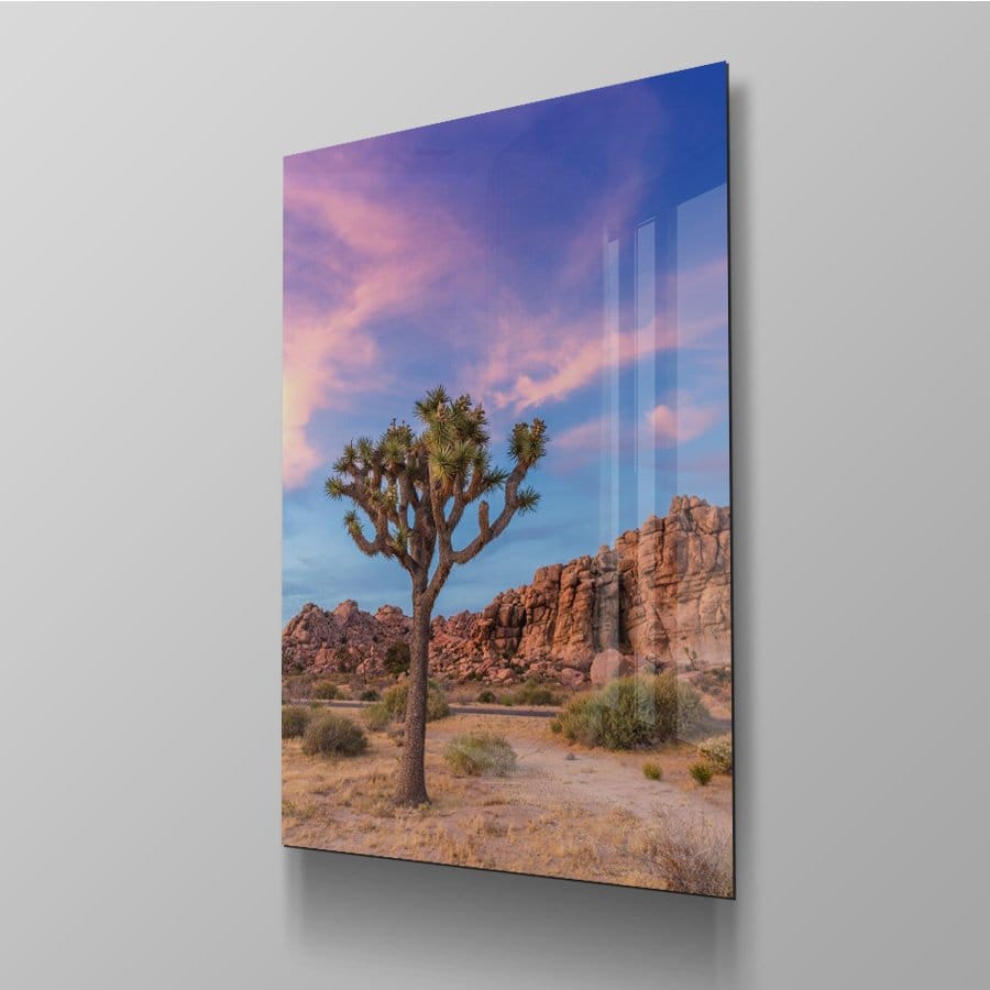 Joshua Tree Evenening - Afbeelding 10