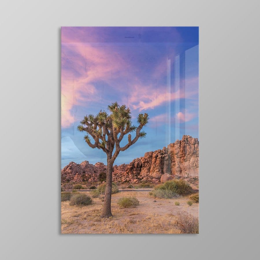 Joshua Tree Evenening - Afbeelding 11