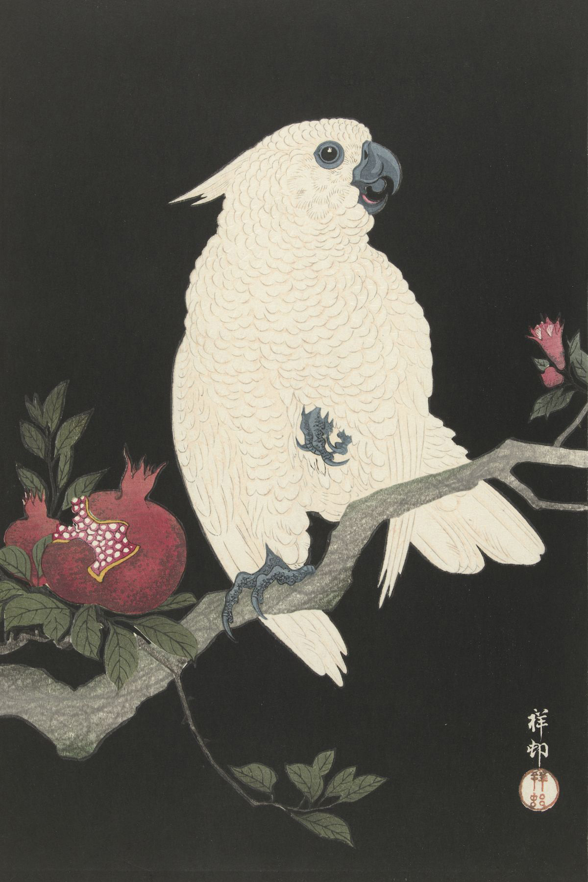 Kaketoe en granaatappel - Ohara Koson - Rijksmuseum