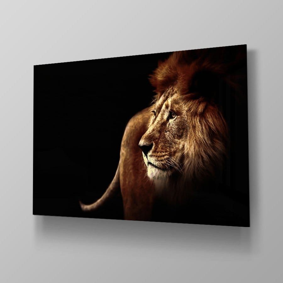 King lion - Afbeelding 4