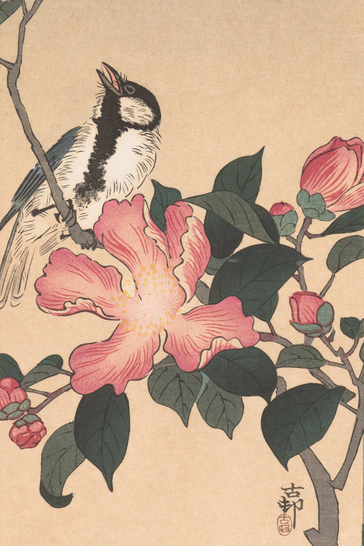 Koolmees op tak met roze bloemen - Ohara Koson - Rijksmuseum