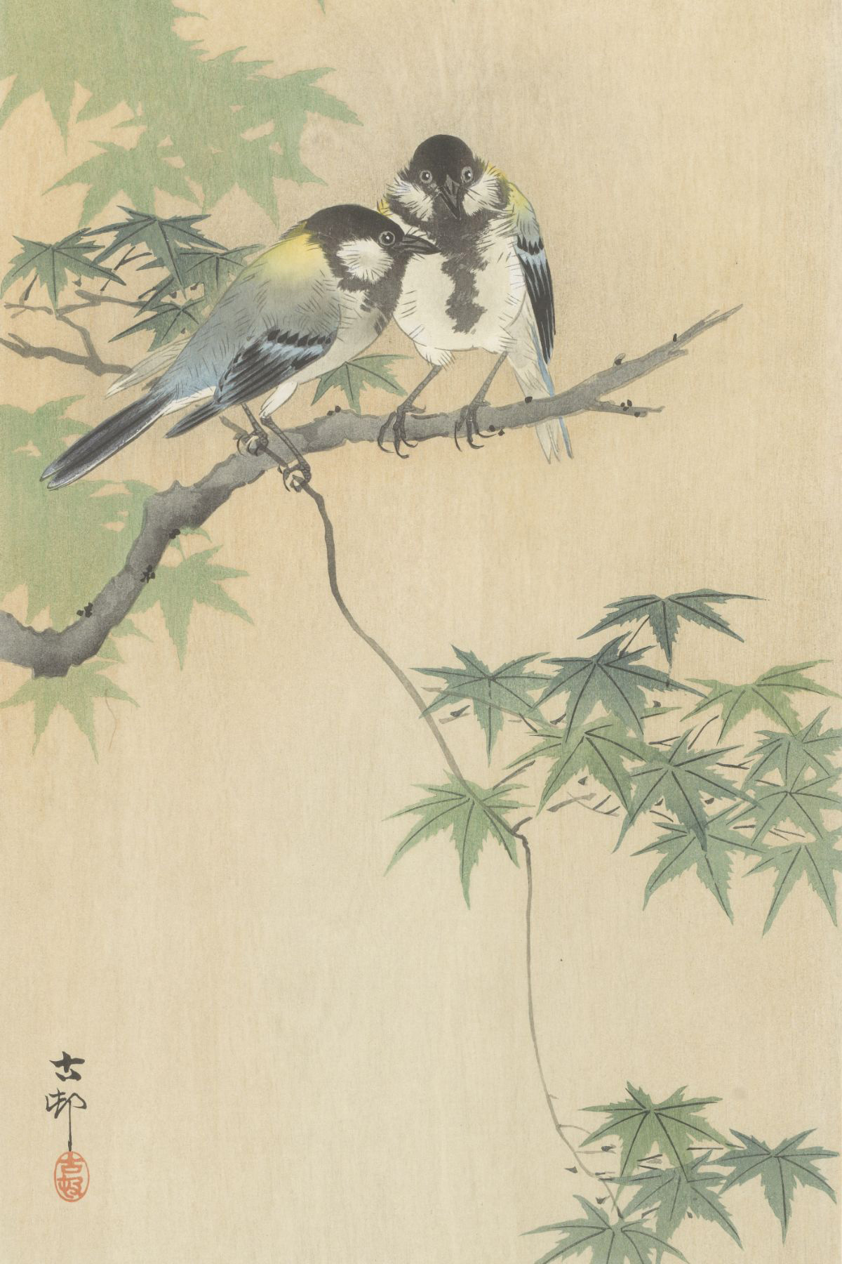 Koolmezen op esdoorntak Koson - Ohara Koson - Rijksmuseum