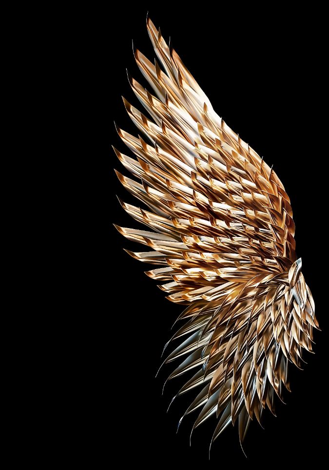 Golden Wings (2x) - Afbeelding 8