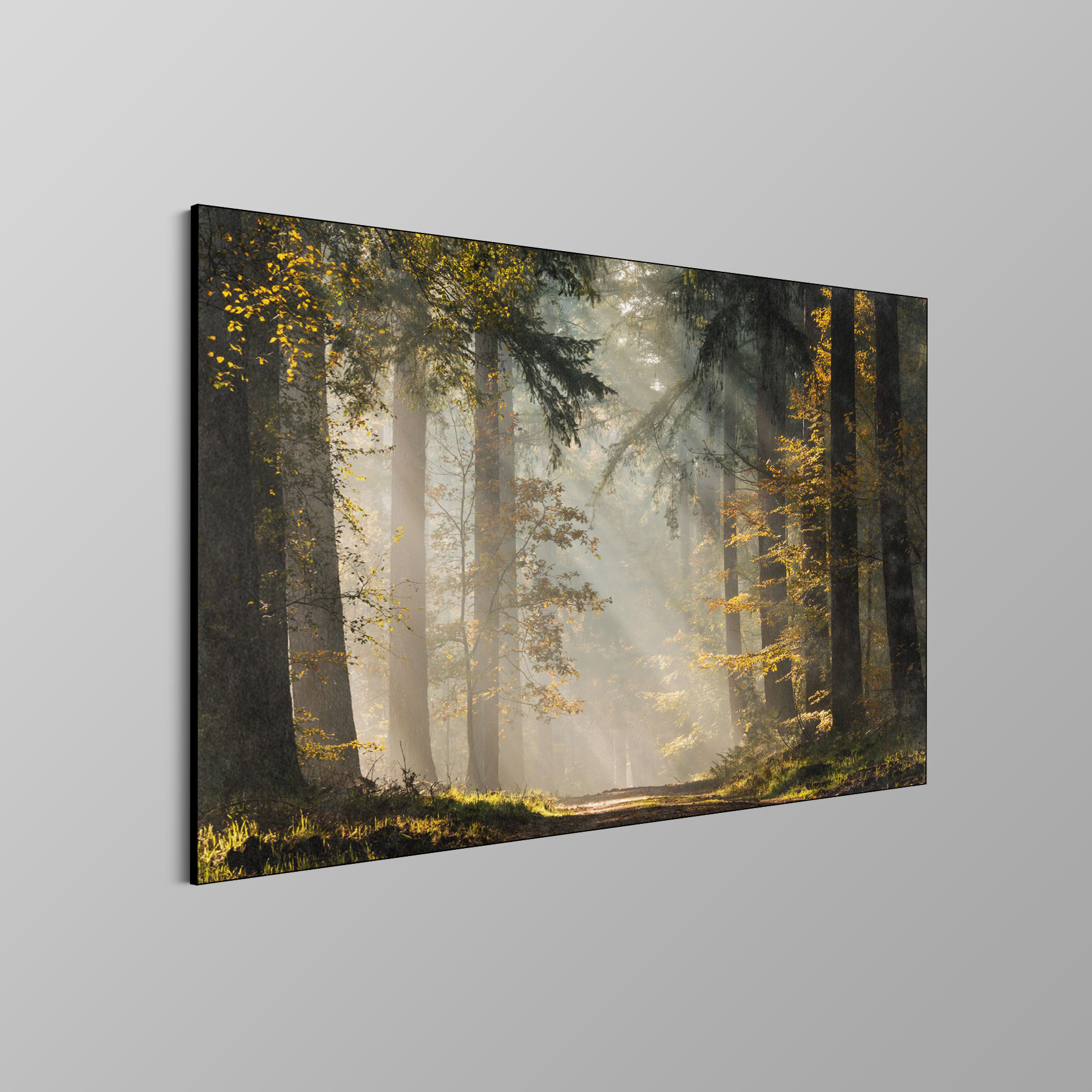 Leaves of Gold - Afbeelding 4